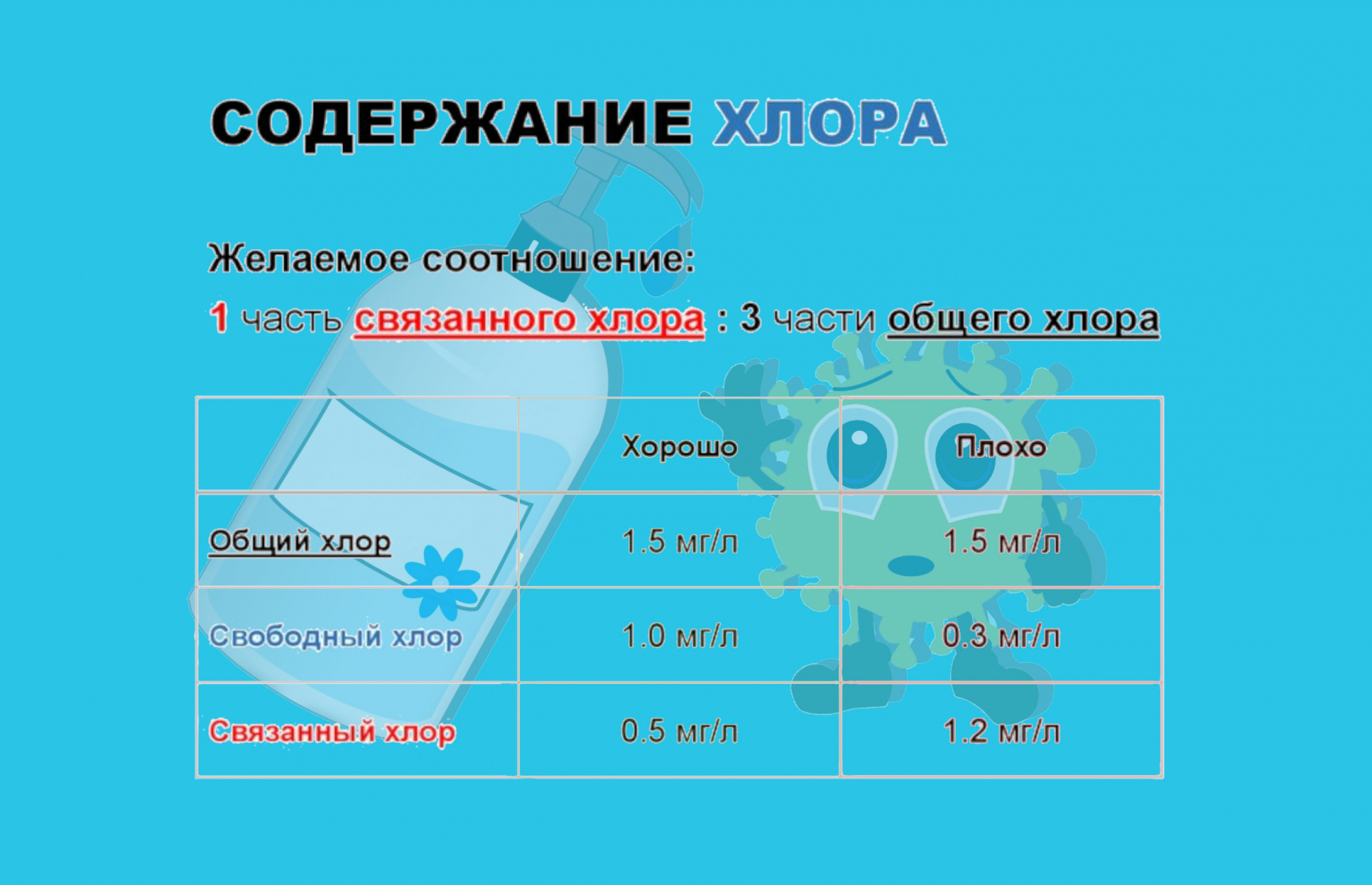 53488_03.jpg