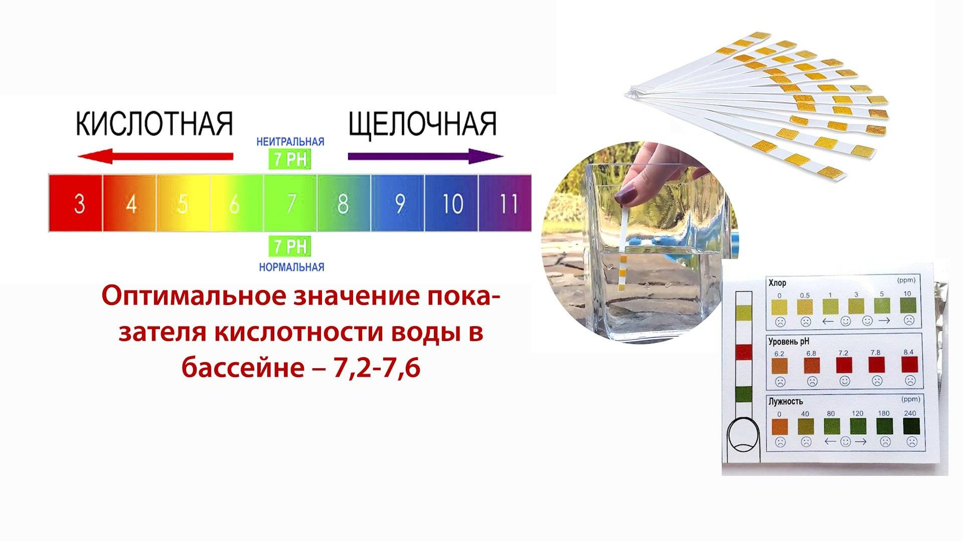 53488_04.jpg