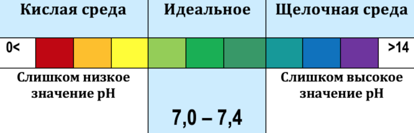 53488_02.jpg